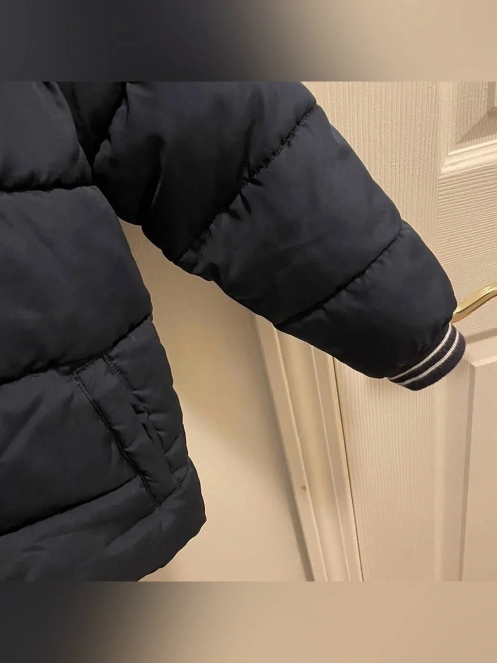 GAP Toddler Navy Blue Puffer Jacket with Hood